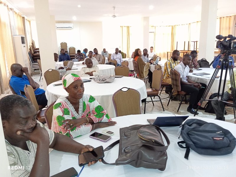 Participants